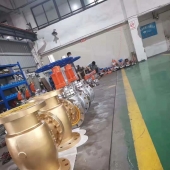 氧气专用止回阀